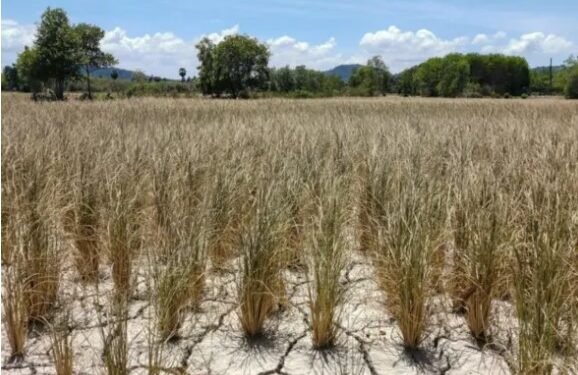 Governo reconhece situação de emergência em cidades da Bahia