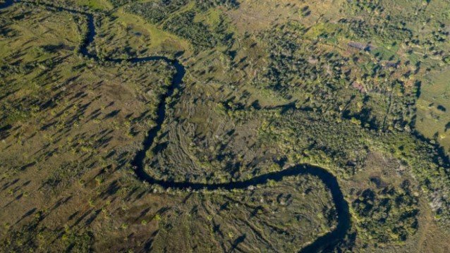 Bahia desmata área equivalente a 737 campos de futebol por dia