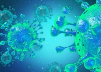 Salvador notifica 23 casos de febre oropouche