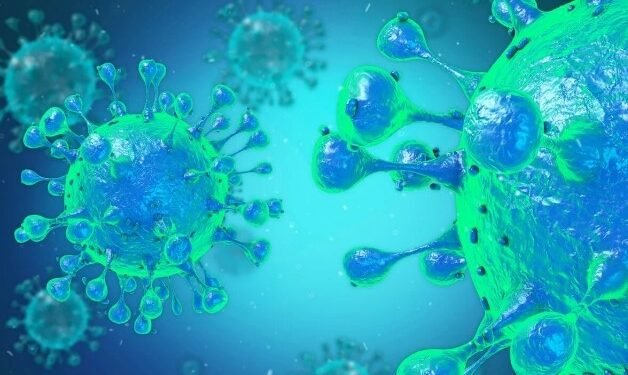 Salvador notifica 23 casos de febre oropouche