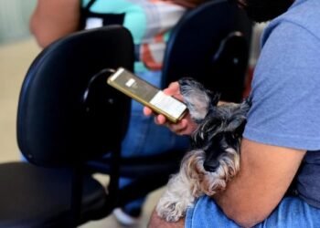 Internet gratuita Crédito: Jefferson Peixoto/Secom PMS